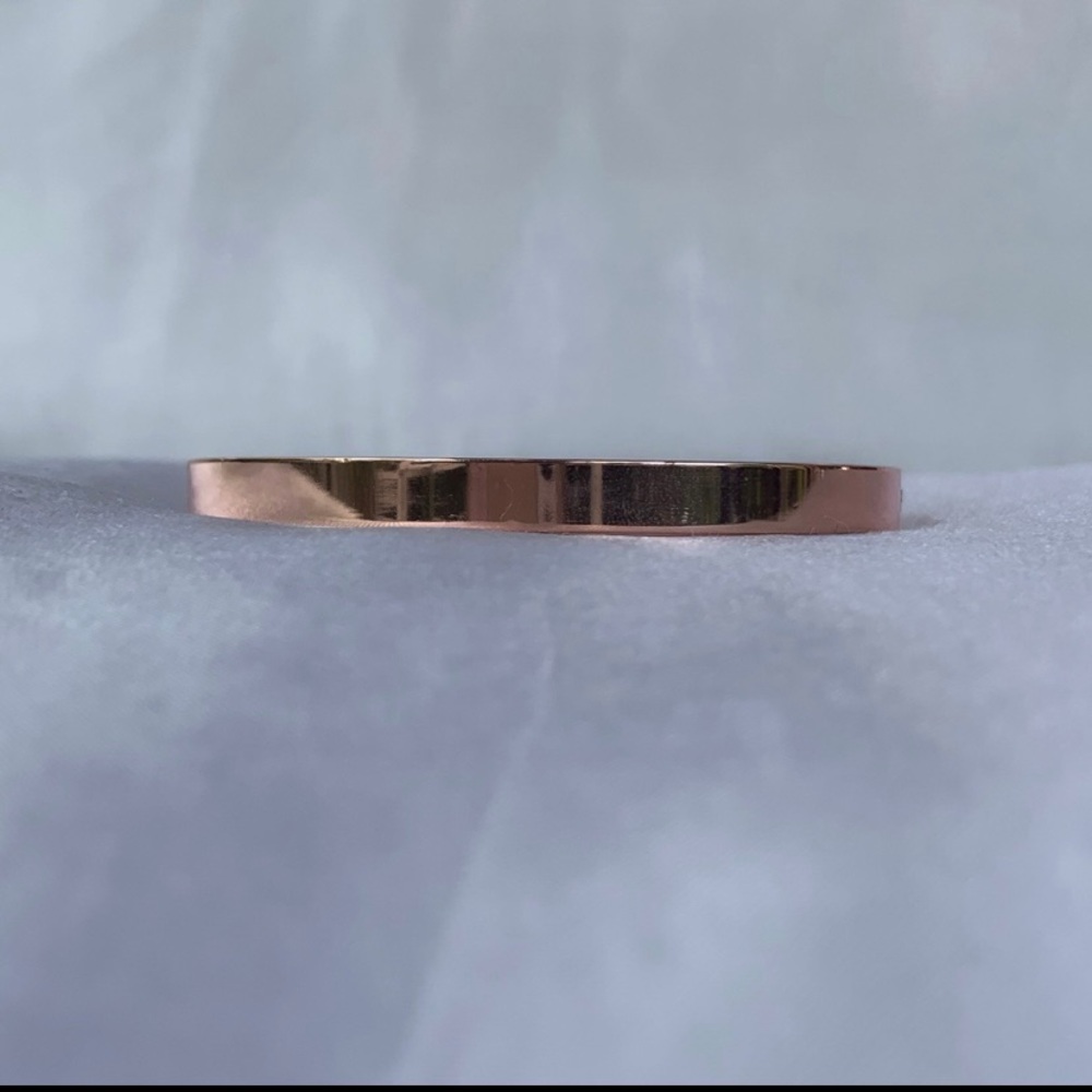Titanium Rose Gold Bangle